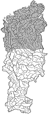 ��������������� ����