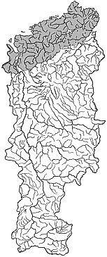 ��������������� ����