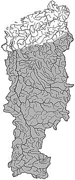 ��������������� ����