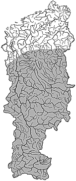 ��������������� ����