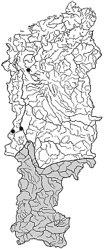 ��������������� ����