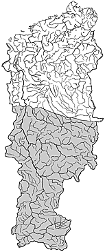 ��������������� ����