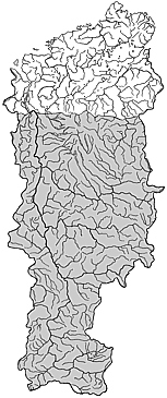 ��������������� ����