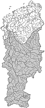 ��������������� ����