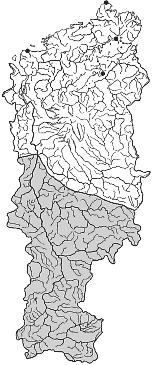 ��������������� ����