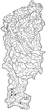 ��������������� ����