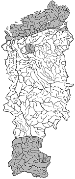 ��������������� ����