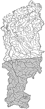 ��������������� ����