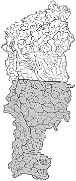 ��������������� ����