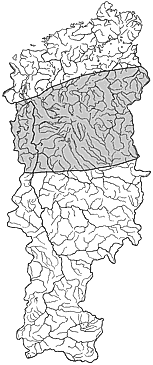 ��������������� ����