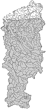 ��������������� ����