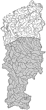 ��������������� ����