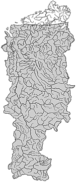 ��������������� ����