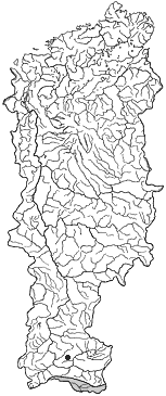 ��������������� ����