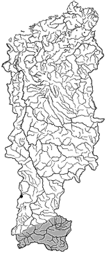 ��������������� ����