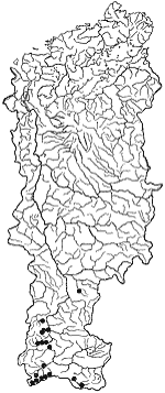 ��������������� ����