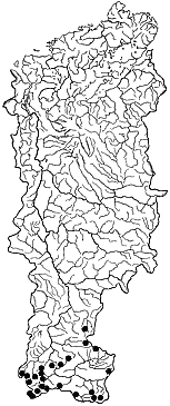 ��������������� ����