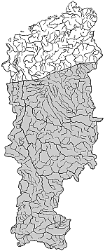 ����� ����