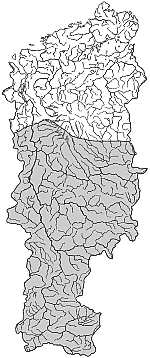 ����� ����