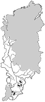 ����� � ����� ������ ����