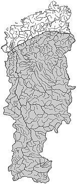 ����� ����