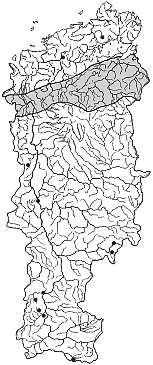 ����� � ����� ������ ����