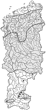 ����� ���� � ������� ������