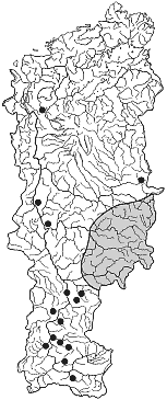 ����� � ����� ������ ����