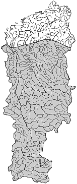 ����� ����