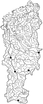 ����� ������