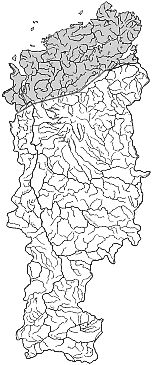 ����� ����