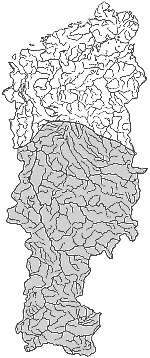 ����� ����