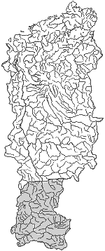 ����� ����