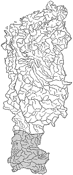 ����� ����