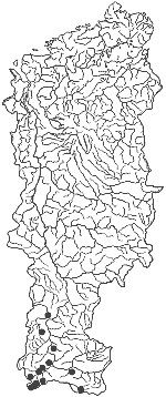 ����� ������ ����