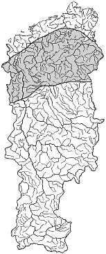 ����� ����