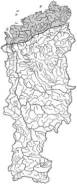 ����� ���� � ������� ������