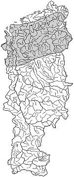 ����� ����