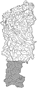 ����� ����