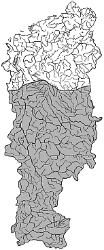 ����� ���� � ������� ������