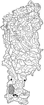 ����� � ����� ������ ����