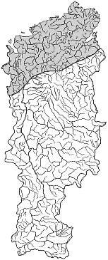 ����� ����