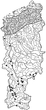 ����� ���� � ����� ������