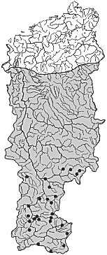 ����� ���� � ����� ������