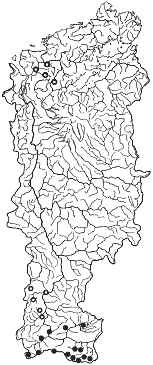 ����� ������ � �������� � �� ��������� ���������� ������