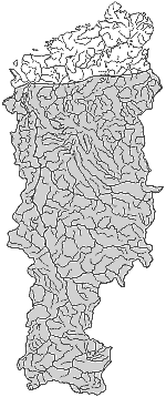 ����� ����