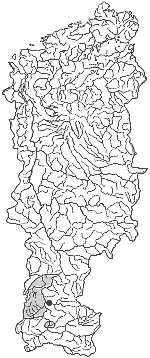 ����� ����