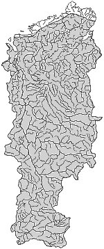 ����� ����