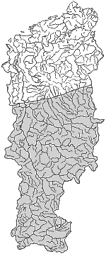 ����� ����