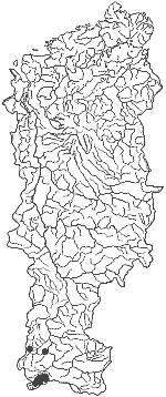 ����� ������ ����